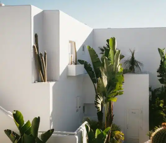 Les meilleures options de voyage pour les personnes âgées