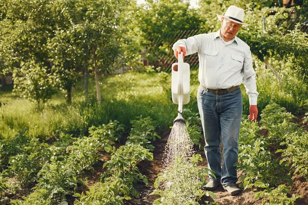 seniors jardinage